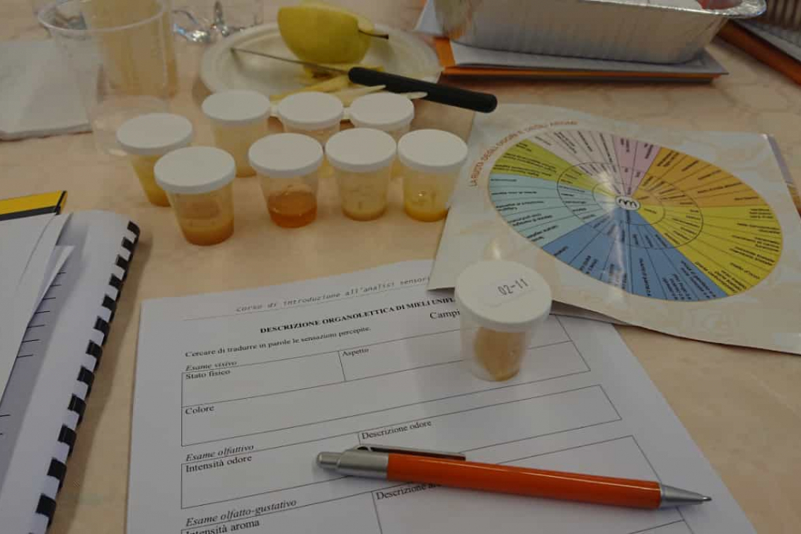 Analisi sensoriale del miele: corso di approfondimento